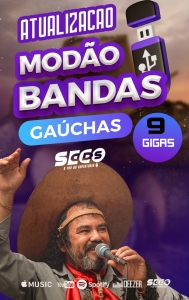 Pendrive - ATUALIZAÇAO de PENDRIVE Bandas Gaúchas e Modão Sertanejo 9GB 15reais