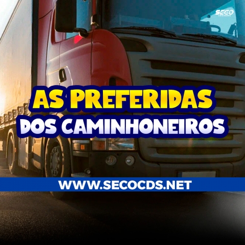 PLAYLIST SECO CDS - AS PREFERIDAS DOS CAMINHONEIROS - Seco CDs